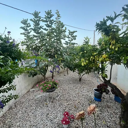 Vivenda Soares بيت ضيافة *