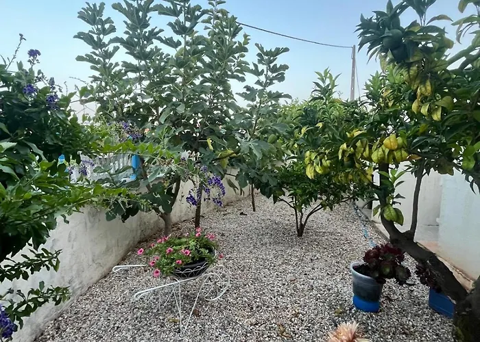 Vivenda Soares Guest house *